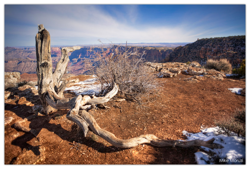 Grand Canyon, Arizona, south rim, tree stump, dry, snow, winter, sunny, blue sky